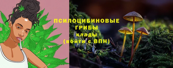 дмт Аркадак