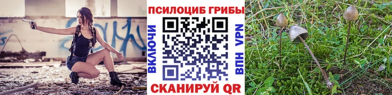 Галлюциногенные грибы мицелий Щёлкино